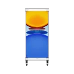 holographic display a