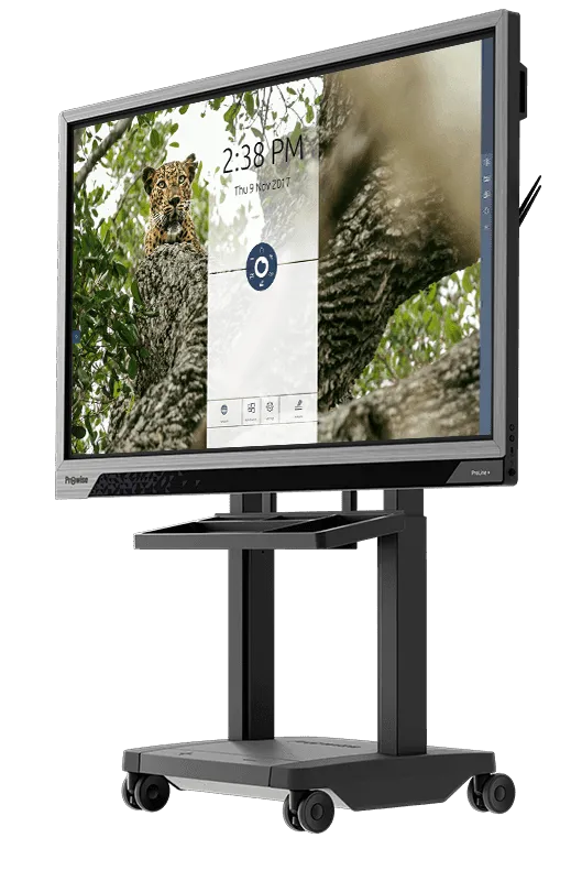 interactive flat panel